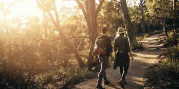 Rutas saludables - Bosque de Armentia (Anillo verde Vitoria-Gasteiz) - 12 de junio